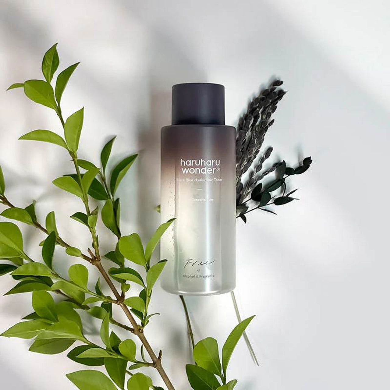 Haruharu Wonder – Toner Hyaluronique au Riz Noir / Sans Parfum